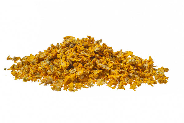 Verbasco o Tassobarbasso, fiori (Verbascum thapsus L.)