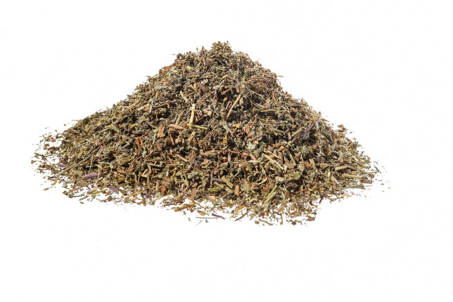 Veronica delle Alpi, sommità (Veronica officinalis L.)