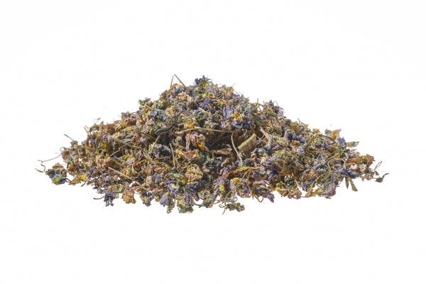 Viola mammola, fiori blu (Viola odorata L.)