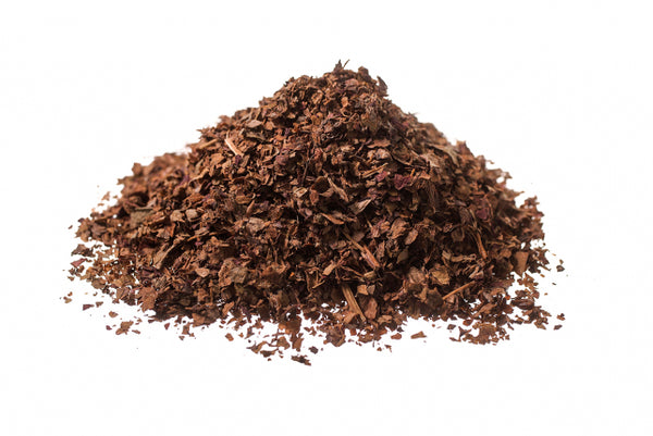 Vite rossa, foglie (Vitis vinifera L.)